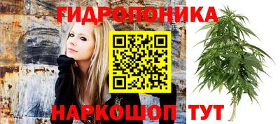 PSILOCYBIN Волжск