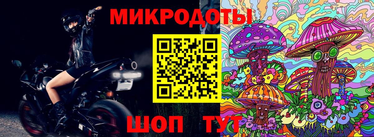где продают   Галлюциногенные грибы Magic Shrooms  Вход с VPN  Каменск-Шахтинский 